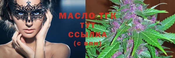 дурь Няндома