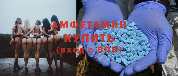 гидра Дрезна