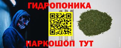 apvp Краснознаменск