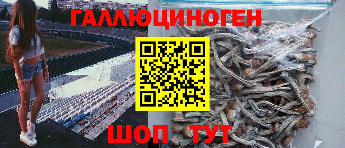 Псилоцибиновые грибы мухоморы  Серов 