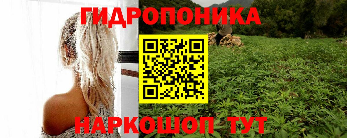 Конопля планчик Серов